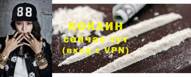 shop как зайти  купить наркотик  Железногорск-Илимский  COCAIN FishScale 